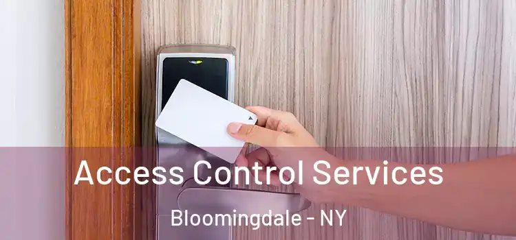  Access Control Services Bloomingdale - NY