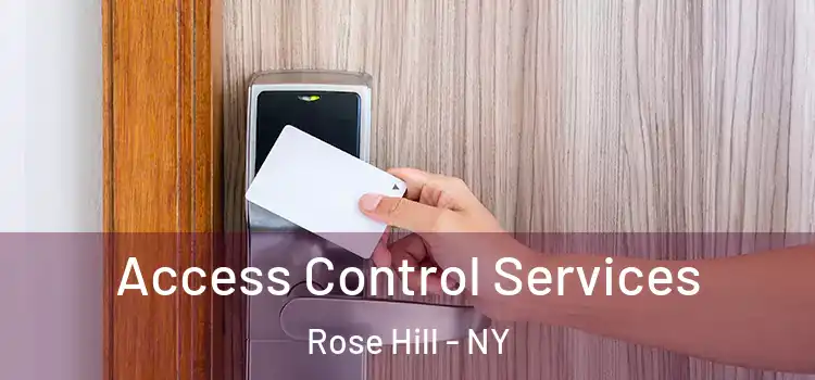  Access Control Services Rose Hill - NY