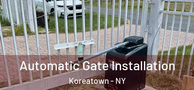  Automatic Gate Installation Koreatown - NY