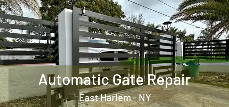  Automatic Gate Repair East Harlem - NY