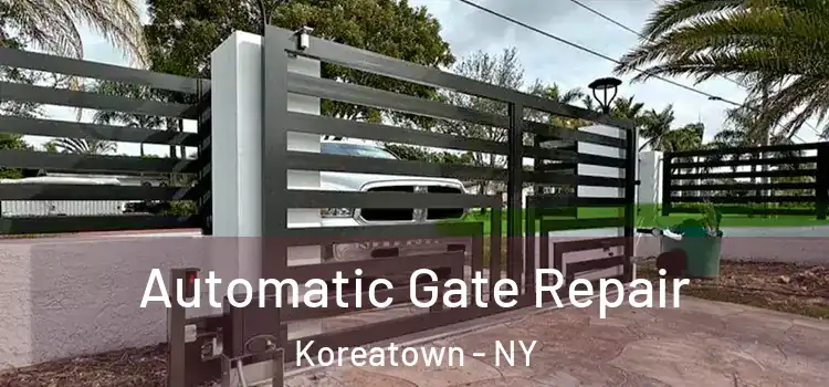  Automatic Gate Repair Koreatown - NY