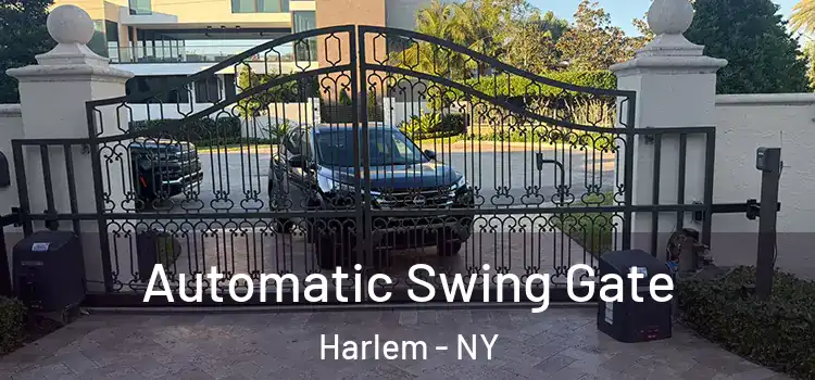  Automatic Swing Gate Harlem - NY