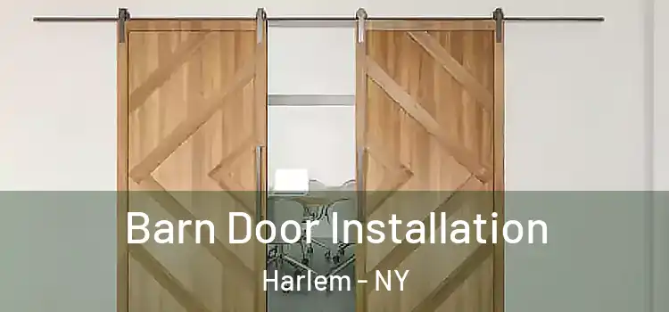 Barn Door Installation Harlem - NY