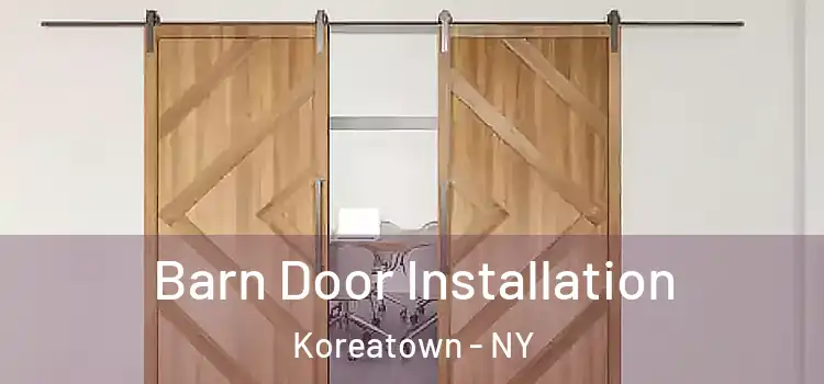  Barn Door Installation Koreatown - NY