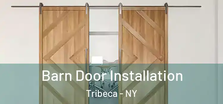  Barn Door Installation Tribeca - NY