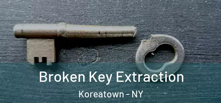  Broken Key Extraction Koreatown - NY
