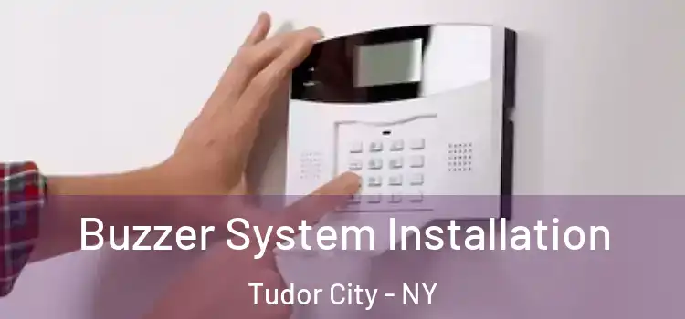  Buzzer System Installation Tudor City - NY