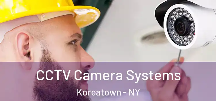  CCTV Camera Systems Koreatown - NY