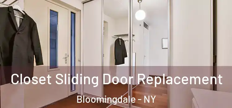  Closet Sliding Door Replacement Bloomingdale - NY