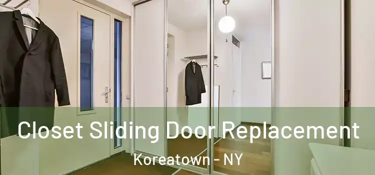  Closet Sliding Door Replacement Koreatown - NY