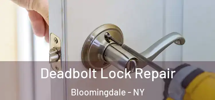  Deadbolt Lock Repair Bloomingdale - NY