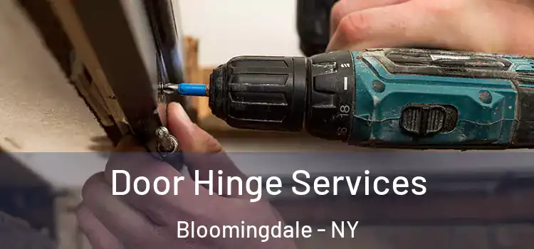  Door Hinge Services Bloomingdale - NY
