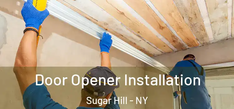  Door Opener Installation Sugar Hill - NY