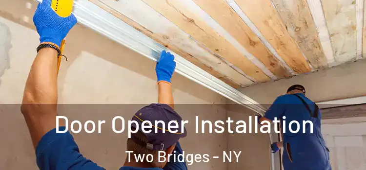  Door Opener Installation Two Bridges - NY