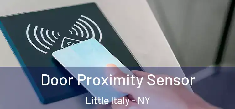 Door Proximity Sensor Little Italy - NY