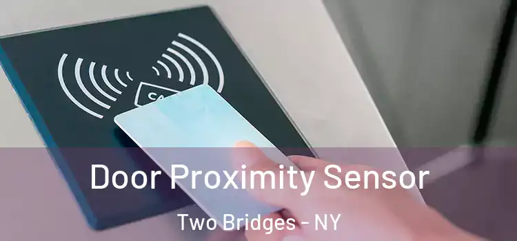  Door Proximity Sensor Two Bridges - NY