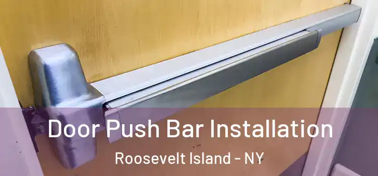  Door Push Bar Installation Roosevelt Island - NY