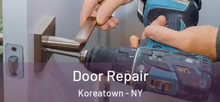  Door Repair Koreatown - NY