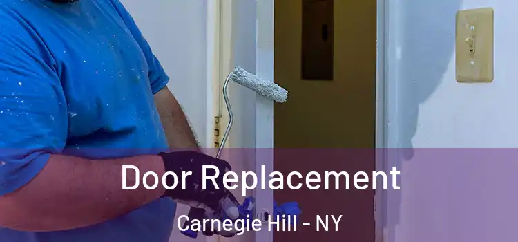  Door Replacement Carnegie Hill - NY