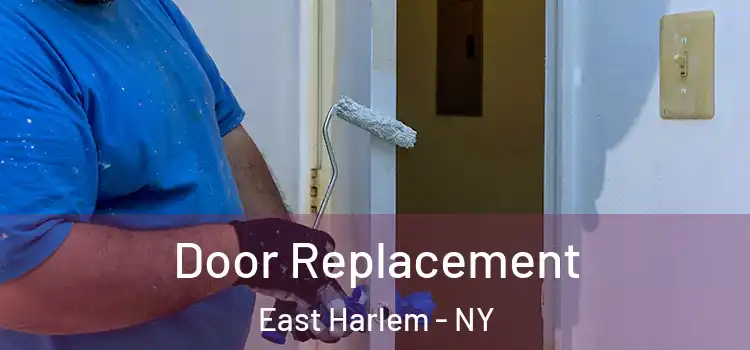  Door Replacement East Harlem - NY