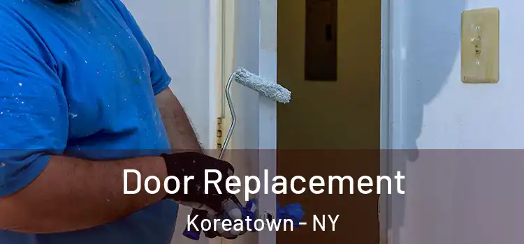  Door Replacement Koreatown - NY