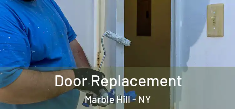  Door Replacement Marble Hill - NY