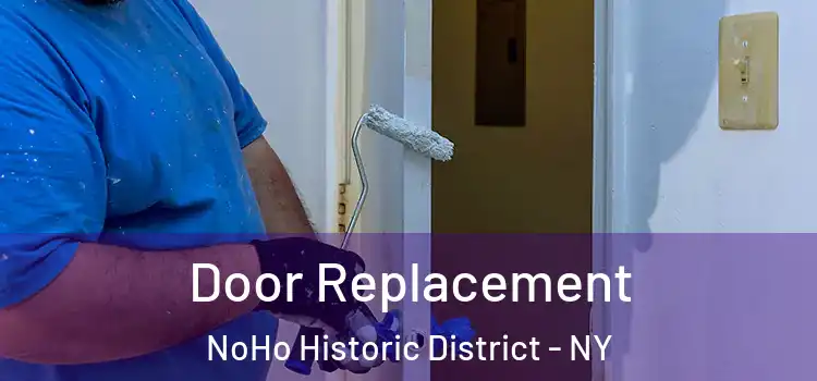  Door Replacement NoHo Historic District - NY