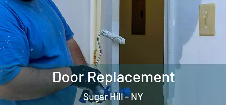  Door Replacement Sugar Hill - NY