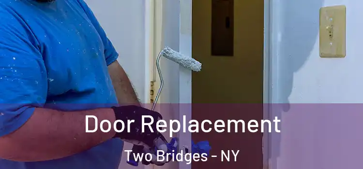  Door Replacement Two Bridges - NY