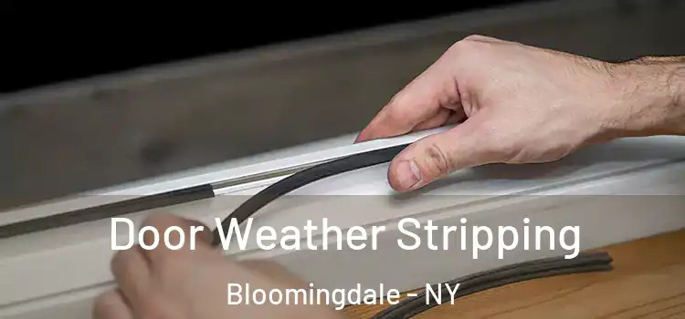  Door Weather Stripping Bloomingdale - NY