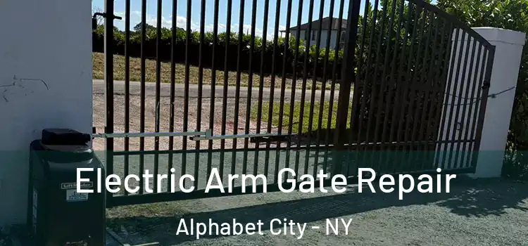  Electric Arm Gate Repair Alphabet City - NY