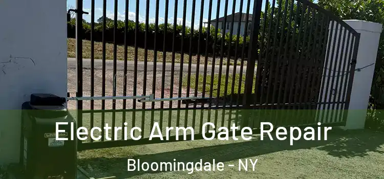 Electric Arm Gate Repair Bloomingdale - NY