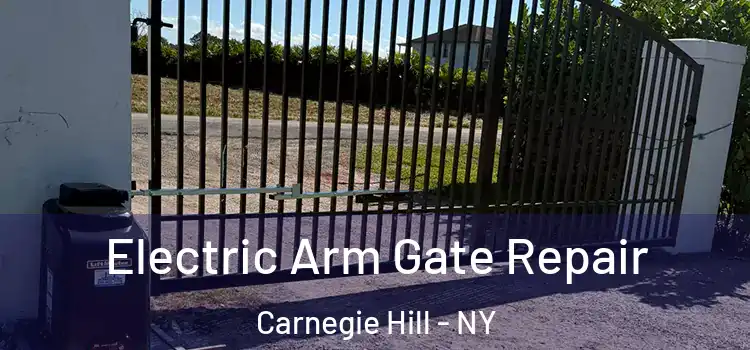  Electric Arm Gate Repair Carnegie Hill - NY