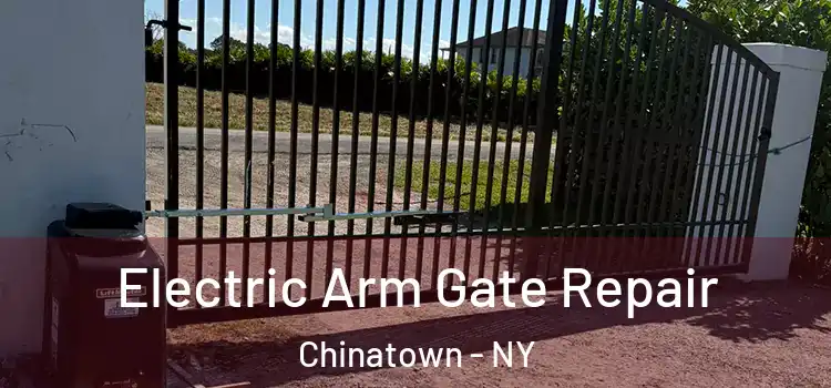  Electric Arm Gate Repair Chinatown - NY
