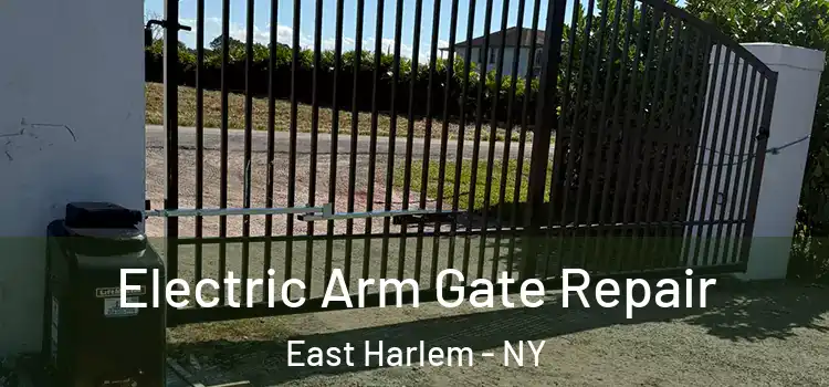  Electric Arm Gate Repair East Harlem - NY