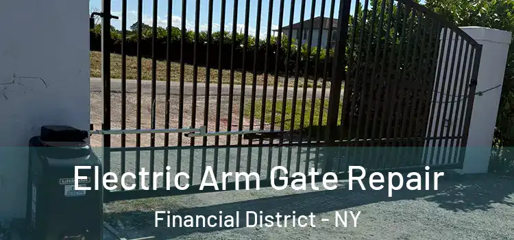  Electric Arm Gate Repair Financial District - NY