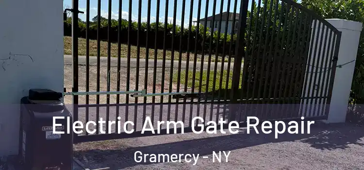  Electric Arm Gate Repair Gramercy - NY
