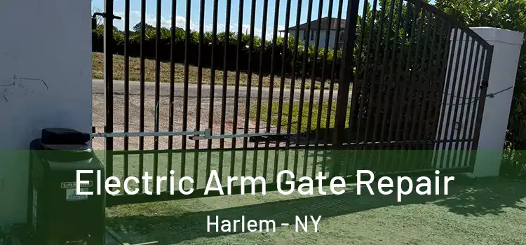  Electric Arm Gate Repair Harlem - NY
