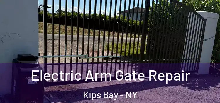  Electric Arm Gate Repair Kips Bay - NY