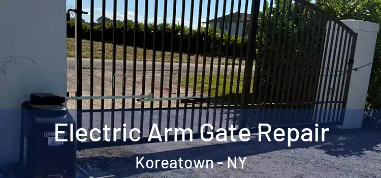  Electric Arm Gate Repair Koreatown - NY
