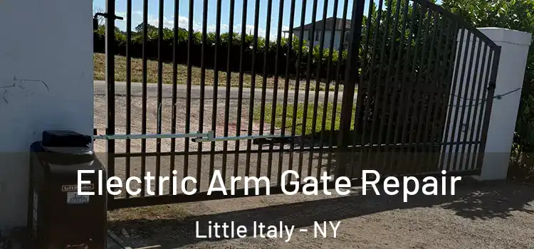 Electric Arm Gate Repair Little Italy - NY