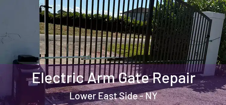  Electric Arm Gate Repair Lower East Side - NY