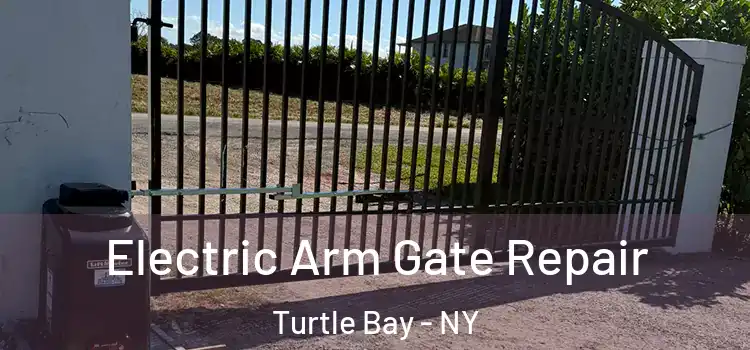  Electric Arm Gate Repair Turtle Bay - NY