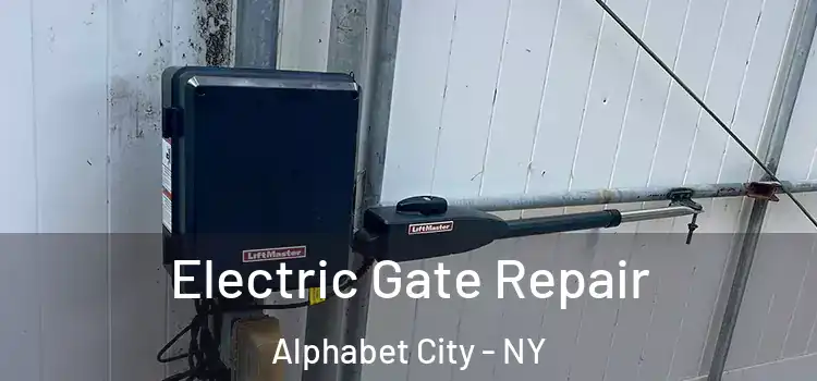 Electric Gate Repair Alphabet City - NY