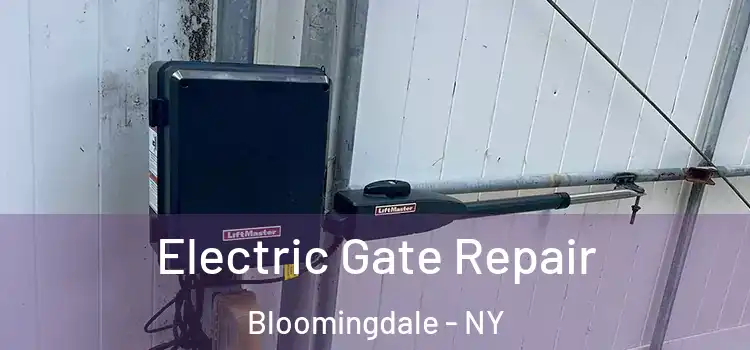  Electric Gate Repair Bloomingdale - NY