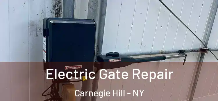 Electric Gate Repair Carnegie Hill - NY