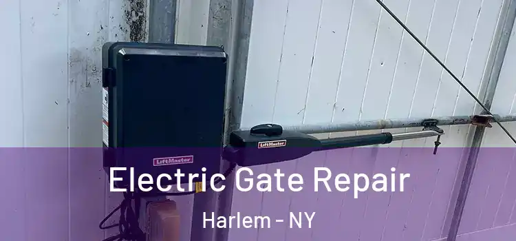  Electric Gate Repair Harlem - NY