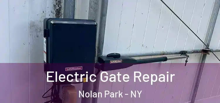  Electric Gate Repair Nolan Park - NY