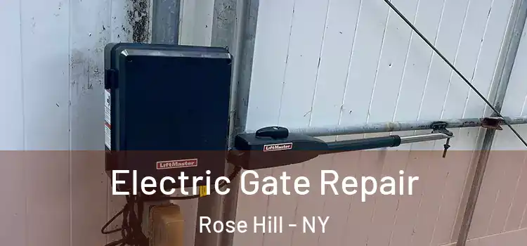  Electric Gate Repair Rose Hill - NY