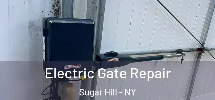  Electric Gate Repair Sugar Hill - NY